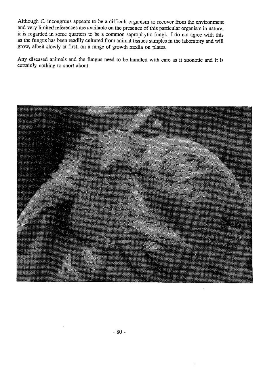 1992 Page 080